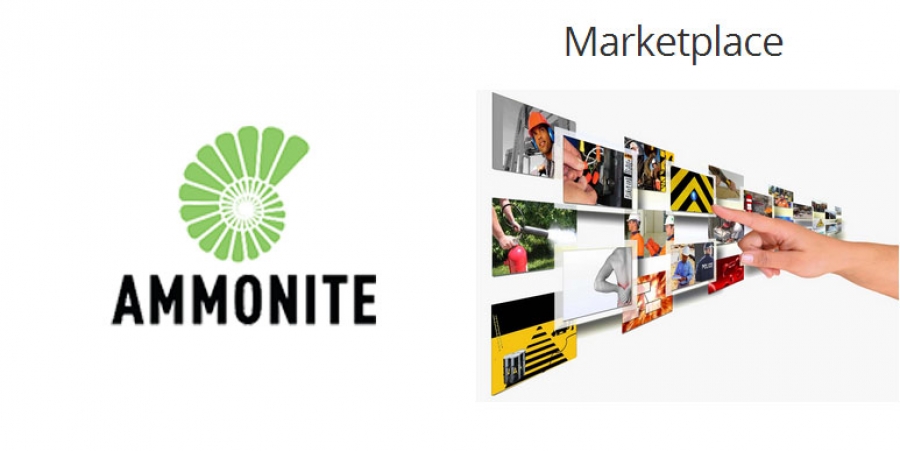 ammonite marketplace